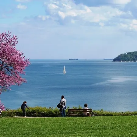 Lejlighed City Star Varna